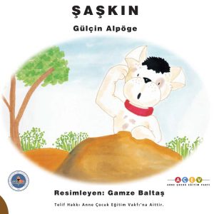 Saskin book